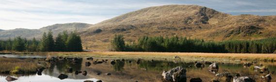Kirkcud III
